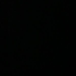 Meet your Posher, Dahlia